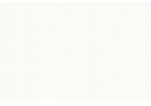 Shanghai Modern Culture Discover Art in the Bund District