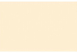 Uncover Local Markets China and Hidden Food Gems Daily