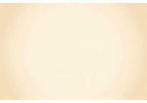 Uncover the Charm of Local Markets China Daily Life