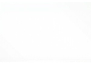 Living Like a Local Immersed in China