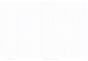 Chinese Youth Culture: Fan Culture and the Power of Online Fandoms