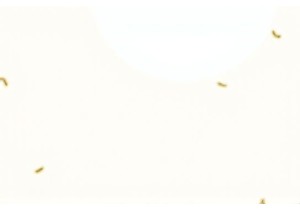 The Role of Markets in Local Lifestyle China