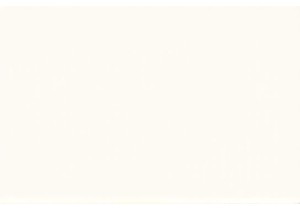 How Chinese Families Shop at Local Markets