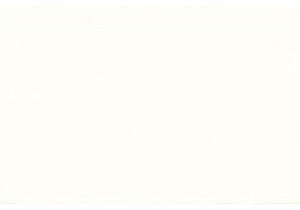 Experience the Heart of Chinese Street Food Culture Daily