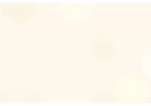  and Charm: Inside a Typical Day at a Guangzhou Market