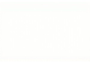 Exploring Local Markets China Where Culture Meets Commerce