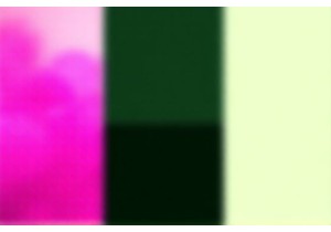 The Dragon’s Path: Pilgrimage and Culture Across China’s Historic Temples