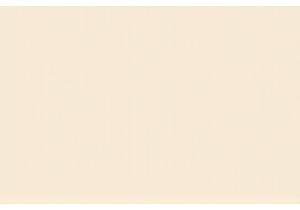 Beijing’s Secret Courtyard Cafés: A Local’s Escape from the Hustle