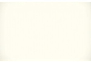 Explore Local Markets China For Authentic Experiences