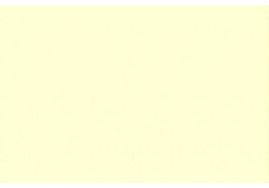 Inside Kunming’s Flower Market: Where Life Blooms Before Daylight