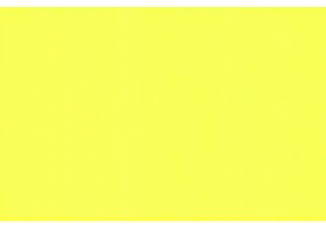 What Is Wanghong Economy Impact on Youth Culture