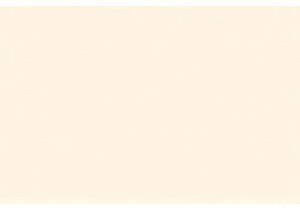 Savoring Chinese Street Food One Bite at a Time