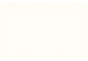 A Guide to Local Markets China for Authentic Experiences