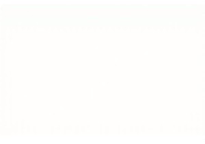 The Rhythm of Tradition: A Traveler’s Guide to China’s Seasonal Festivals