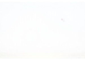 Spirit of the Dragon: Uncovering the Meaning Behind China’s Traditional Festivals