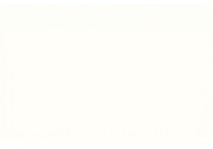 Local Wisdom Found in Chinese Grocery Shops