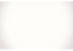 A Morning at Local Markets China Full of Vibrant Energy