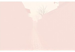 Chengdu Slow Living A Local