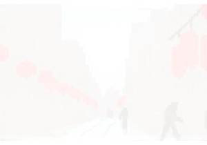 Living Like a Local Immersed in China