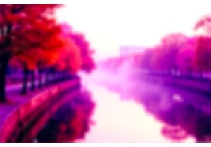 Chengdu Slow Living Walk the Less Traveled Riverside Paths