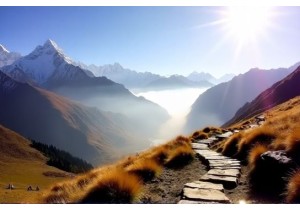 Find China Coldmen Mudi Among Mountain Trails