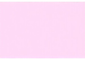 The Rhythm of Chengdu: How Slow Living Redefines Urban Happiness