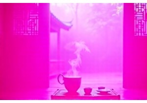 Finding Zen in a Suzhou Teahouse: Tradition in Every Sip
