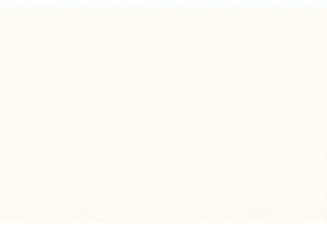 Street Food Tours That Show Real Life in China