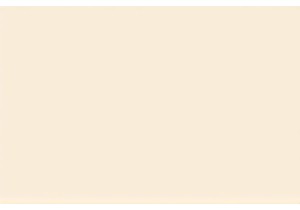 The Cultural Significance of Tea in China Daily