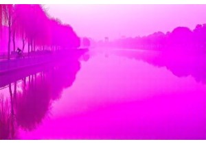 Living Like a Local in Hangzhou: Cycling