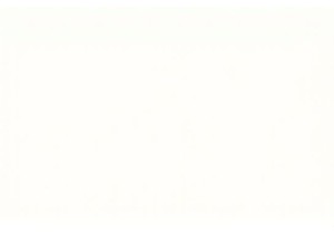 Discovering Chinese Street Food at Dawn in Local Neighborhoods