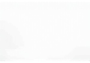 Shanghai Modern Culture Dining with River Views