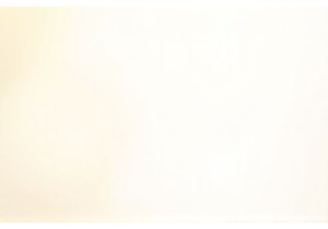 Kunming’s Flower Market: Where Daily Life Blooms with Color and Fragrance