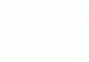 How Locals Shop at Chinese Local Markets