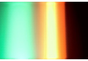 From Farm to Table: Exploring Fresh Produce in a Southern Chinese Wet Market