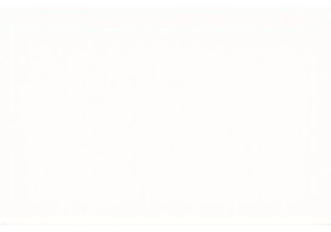 A Glimpse into Local Lifestyle China Firsthand