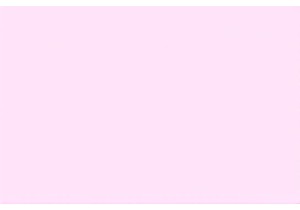 Local Insights into Chinas Morning Market Rush