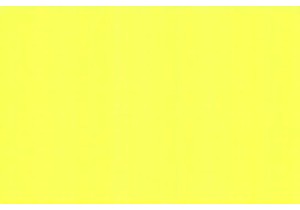 From Campus Jargon to Mainstream Mania: The Journey of Youth Slang in China