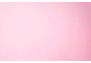  and Fresh Lotus Root