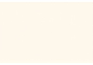 A Morning in Beijing: Navigating the Bustling Local Markets Like a Resident