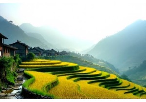 China Rural Travel to Uncover Secret Landscapes