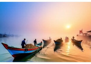 Dalian Fishermen at Sunrise: Where Seafood Meets Daily Tradition