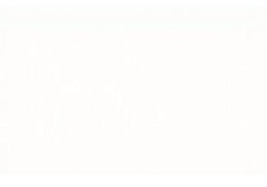 Explore the Heart of China Local Lifestyle and Markets