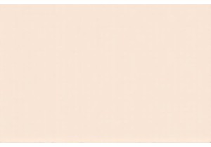 The Feminist Backlash: Women