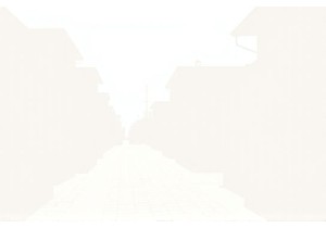 Experience the Heart of Local Lifestyle China Daily