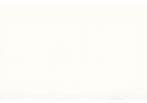 Qingdao’s Seafood Stands: From Boat to Bowl in Minutes