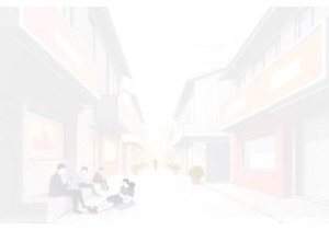 Local Perspectives on China