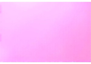 Taste Homegrown Food in a Genuine Rural Chinese Village