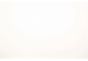 Chasing Flavors: A Street Food Journey Through Chengdu