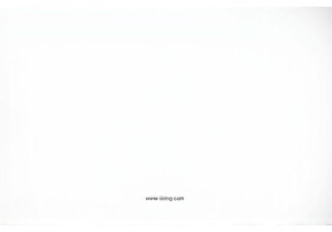 Social Phenomena China Uncovered with Local Insights